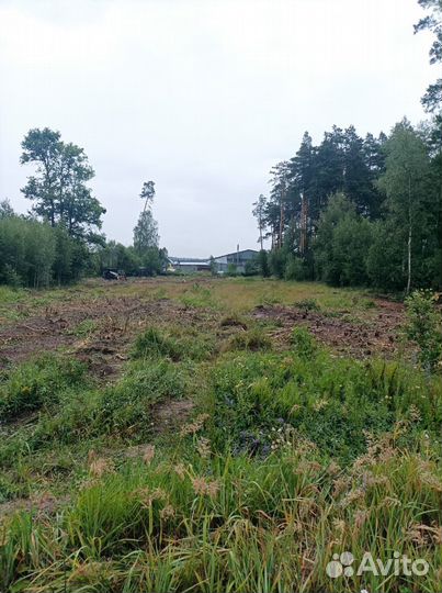 Услуги мульчера, минипогрузчика