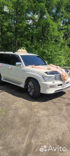 Авто в аренду