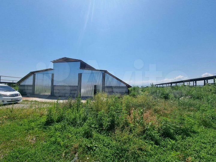 Ферма крс 26000 м²