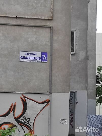 Белый кот потеряшка