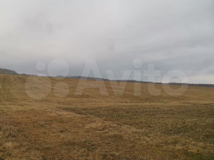 Участок 12 га (СНТ, ДНП)