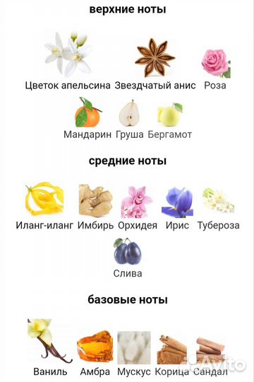 Jean Paul Gaultier Classique