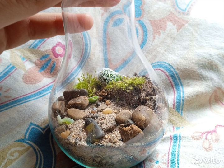 Вечный терариум