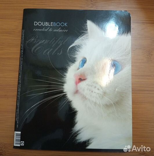 Тетради 48 листов 2 штуки