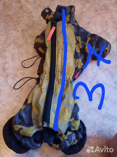 Одежда для средних собак