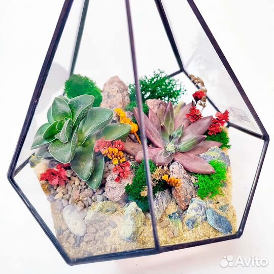 Флорариум с суккулентами 