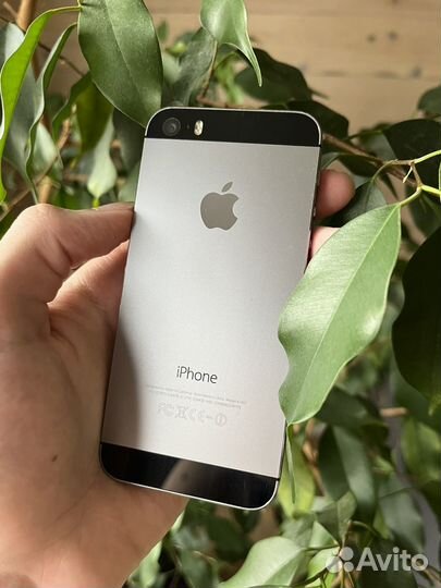 iPhone 5S, 16 ГБ
