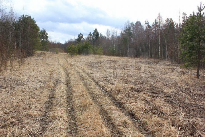 Участок 2,6 га (СНТ, ДНП)