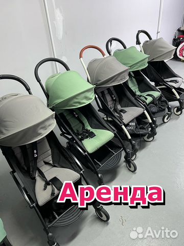 Сдаем в aренду оригинал