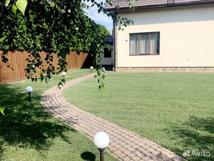 Рулонный газон 