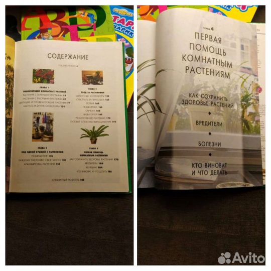 Энциклопедия комнатного цветоводства