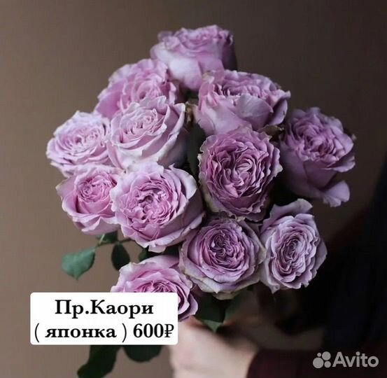 Японские розы