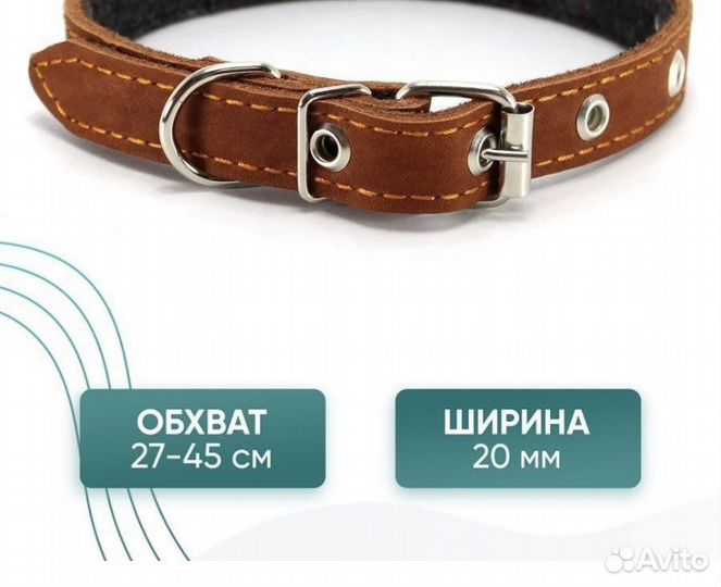 Ошейник для собак