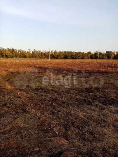 Участок 2,6 га (промназначения)