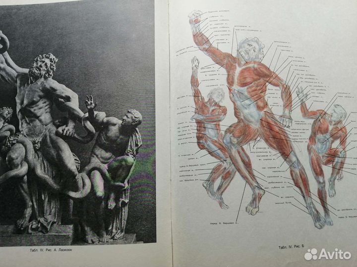 Пособие для художников