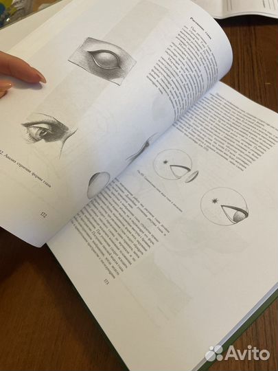 Основы учебного академического рисунка