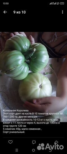 Семена овощей коллекционные