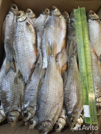 Вобла вяленая с икрой крупная Казахстан