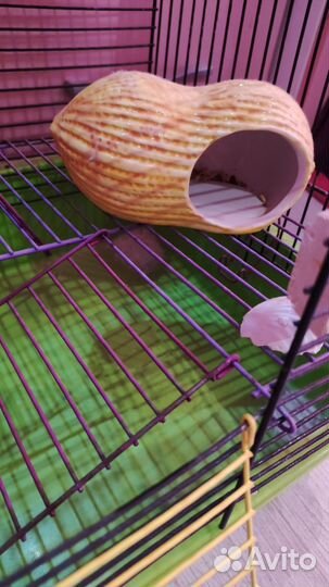 Клетка для грызунов, хомяков