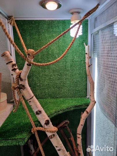 Террариум для рептилий бу