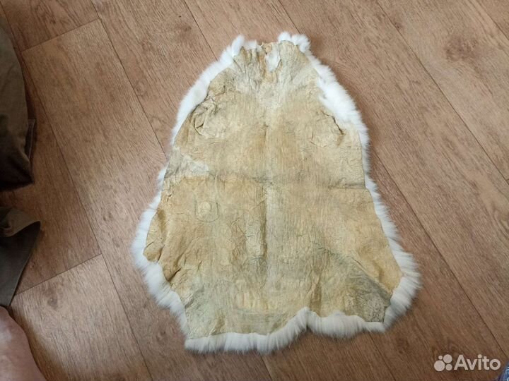 Шкурка кролика