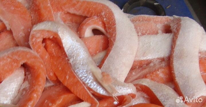 Брюшки семги