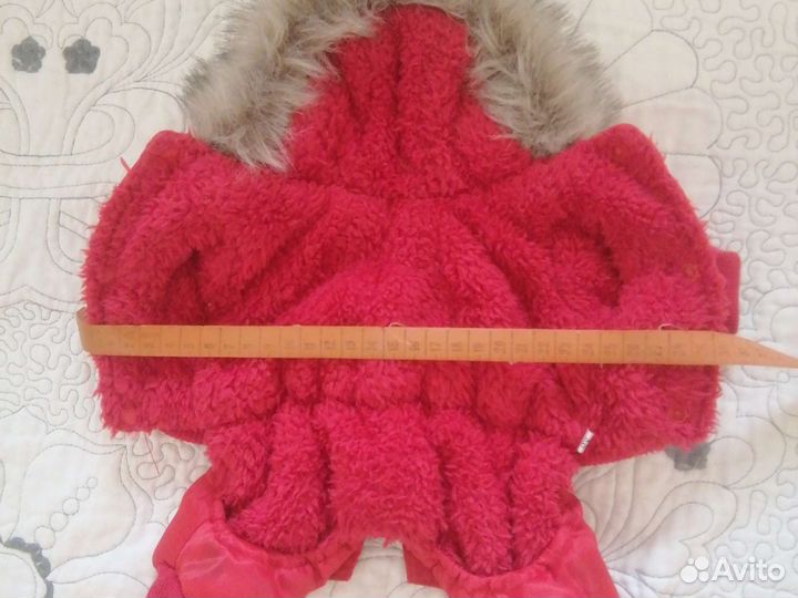 Одежда для собак мелких пород