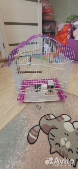 Клетка для попугая бу