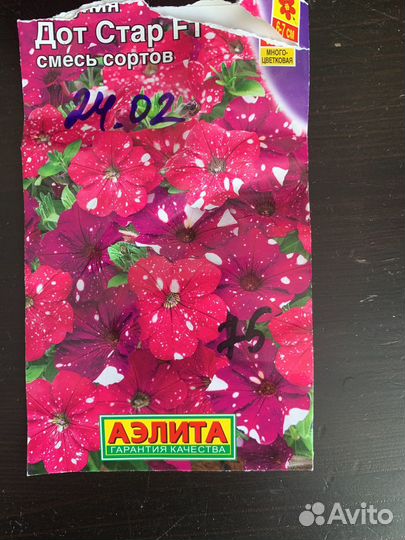 Петуния