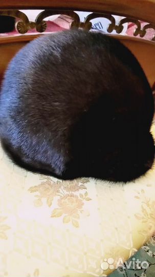 Шапка женская