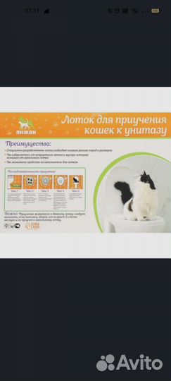 Лоток для кошек