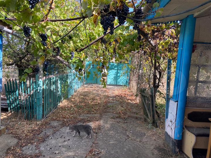 Дом 80,6 м² на участке 25 сот.