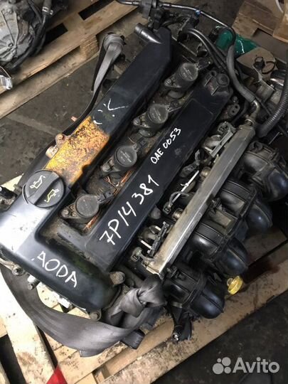 Двигатель контрактный и АКПП на (aoda) Ford Focus