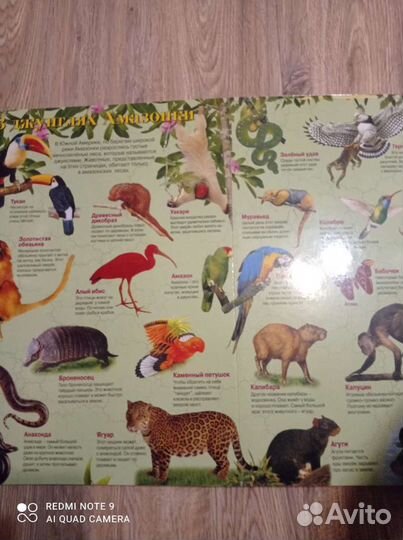 Книга большого размера о животных