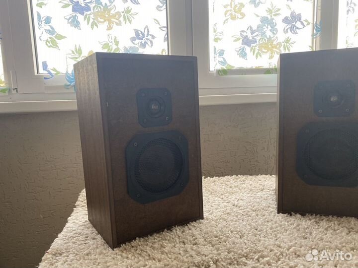 Колонки радиотехника s 30а