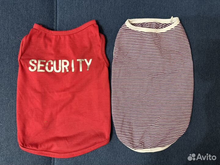 Майки для маленькой собаки