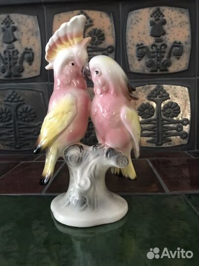 Попугаи Германия 1941-1956