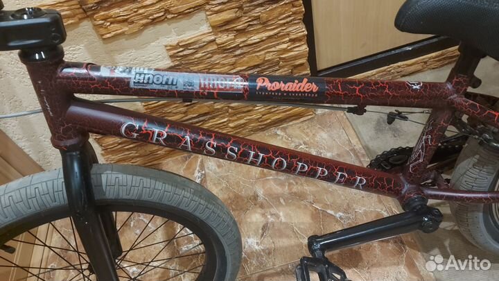 Bmx tech team grasshopper