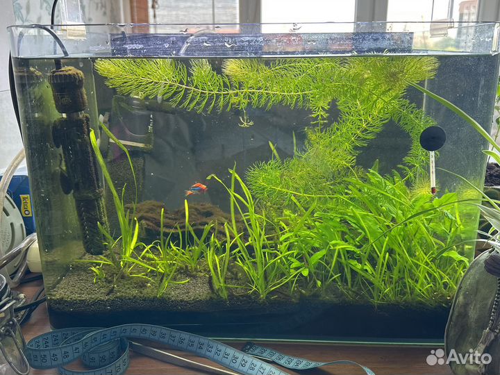 Аквариум со всем оборудованием и рыбками