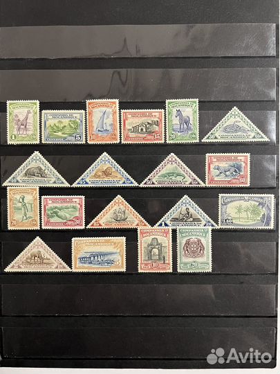 1937 г. Мозаибик. Фауна