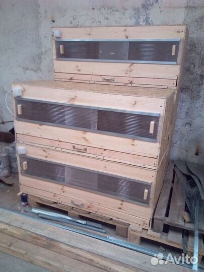 Брудер для цыплят