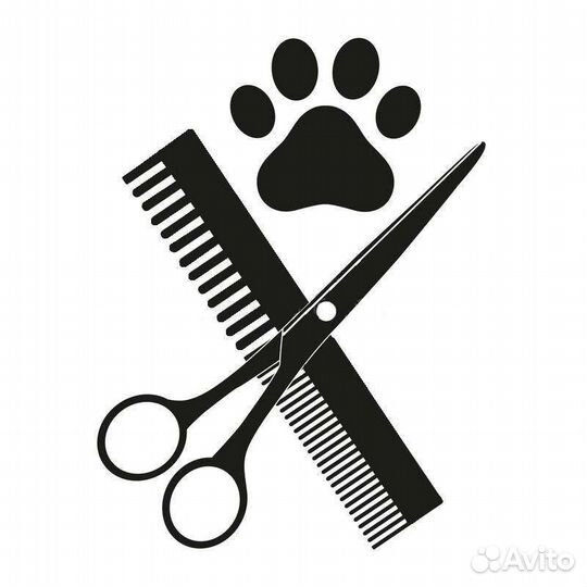 Курсы груминга. Обучение стрижке собак и кошек