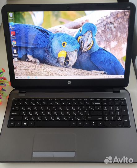 Ноутбук hp/ssd/аккум новый