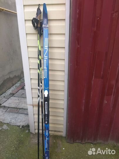 Беговые лыжи