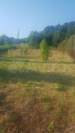 Участок 8 сот. (ИЖС)