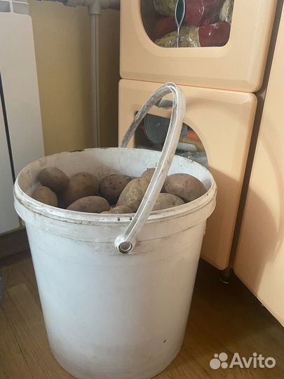 Картофель частный