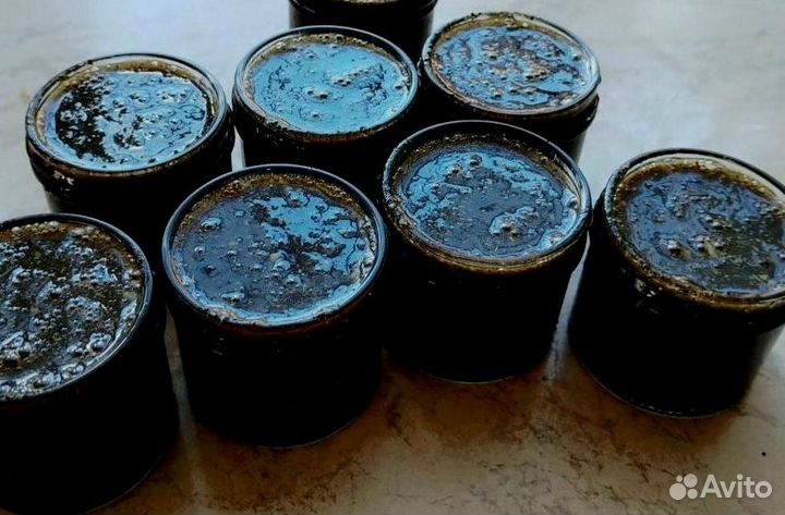 Поднимающий мёд для мужчин