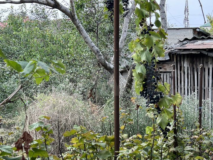 Участок 8,5 сот. (ИЖС)