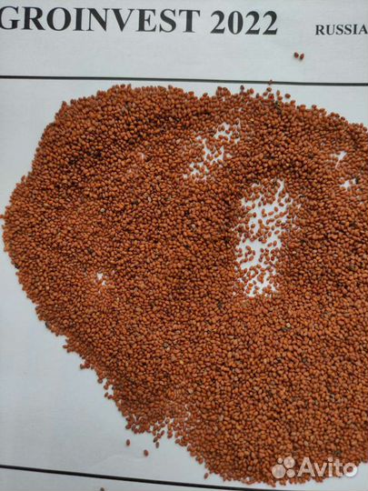 Семена рыжика