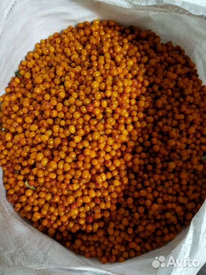 Облепиха замороженная